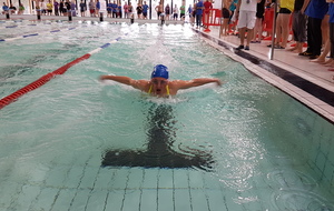 Marie au 50 papillon