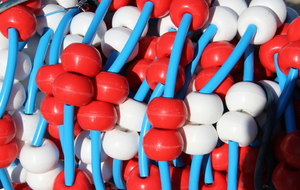 Championnats Régionaux à Saint-Brieuc