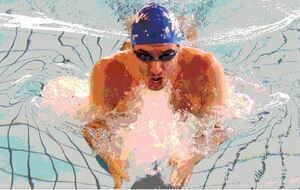 Championnats Finistère Maîtres Open - 25 m - Morlaix